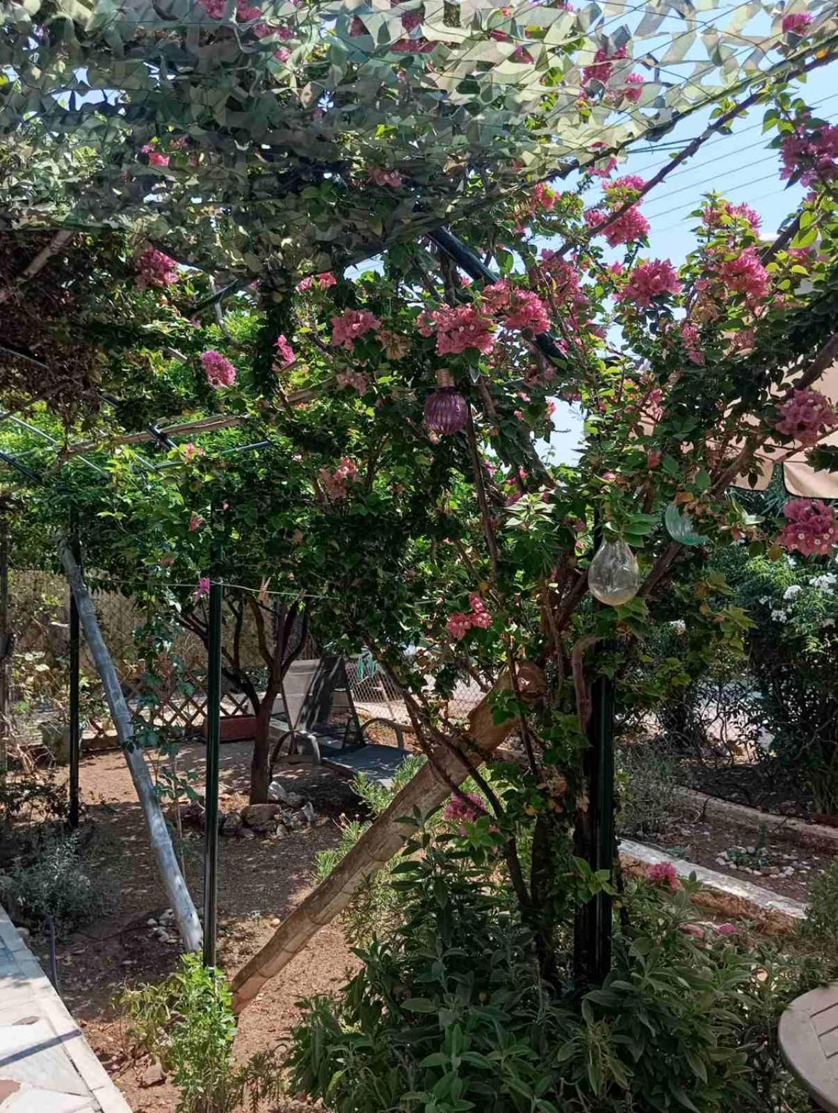 Εξοχικό Roxani Villa Ambelakia Eksteriør bilde