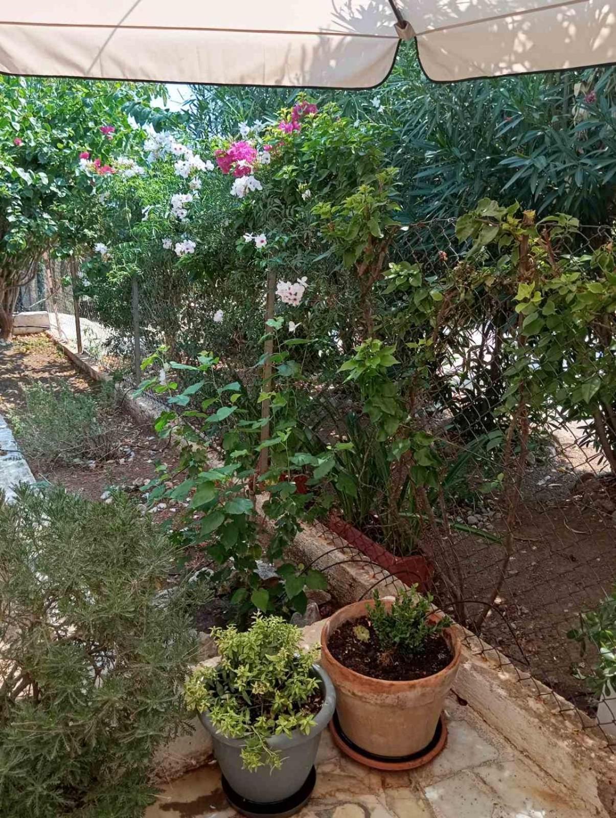 Εξοχικό Roxani Villa Ambelakia Eksteriør bilde